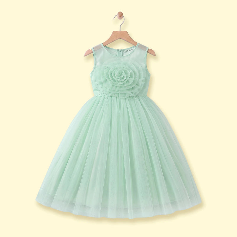 Girls Light Green Floral Applique Fit & Flare Party Dress Party Dresses Light Green 1-2 Y