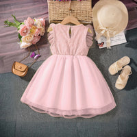 Girls Pink Butterfly Applique Flutter Sleeve Fit & Flare Party Dress Party Dresses