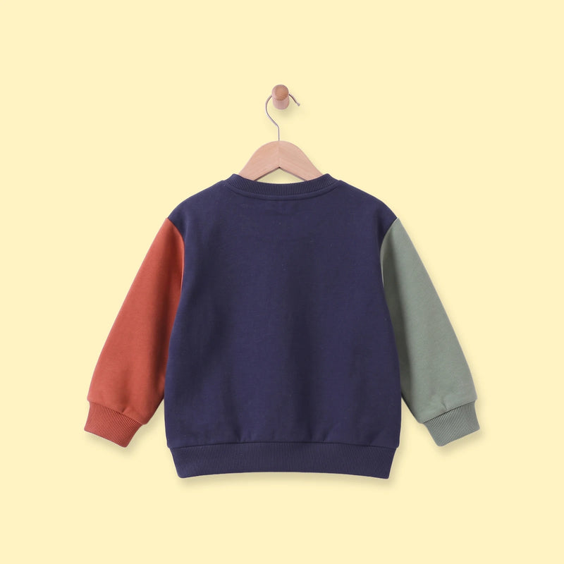 Boys Navy Colorblock Long Sleeve Sweatshirt Sweatshirts & Hoodies