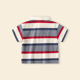 Boys Multicolor Stripes Polo T-Shirt With Short Sleeves Tshirts