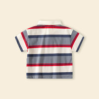 Boys Multicolor Stripes Polo T-Shirt With Short Sleeves Tshirts