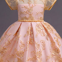 Girls Light Pink Floral Embroidered Fit & Flare Party wear Dress Party Dresses