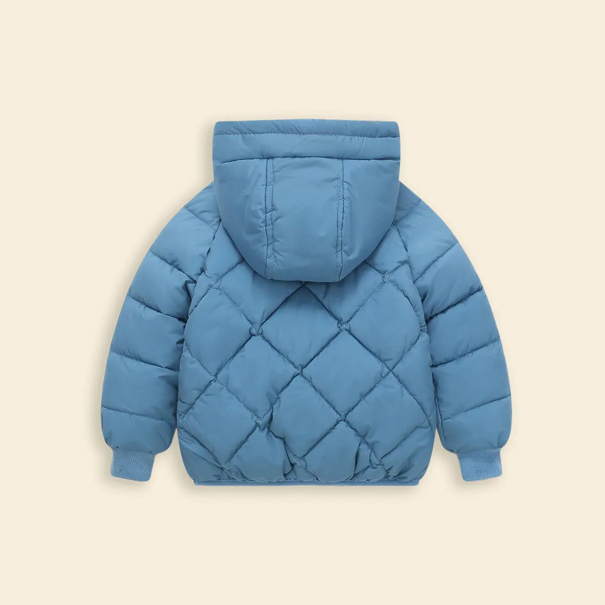 Boys Light Blue Hooded Zip-up Puffer Jacket With Long Sleeves Coats & Jackets