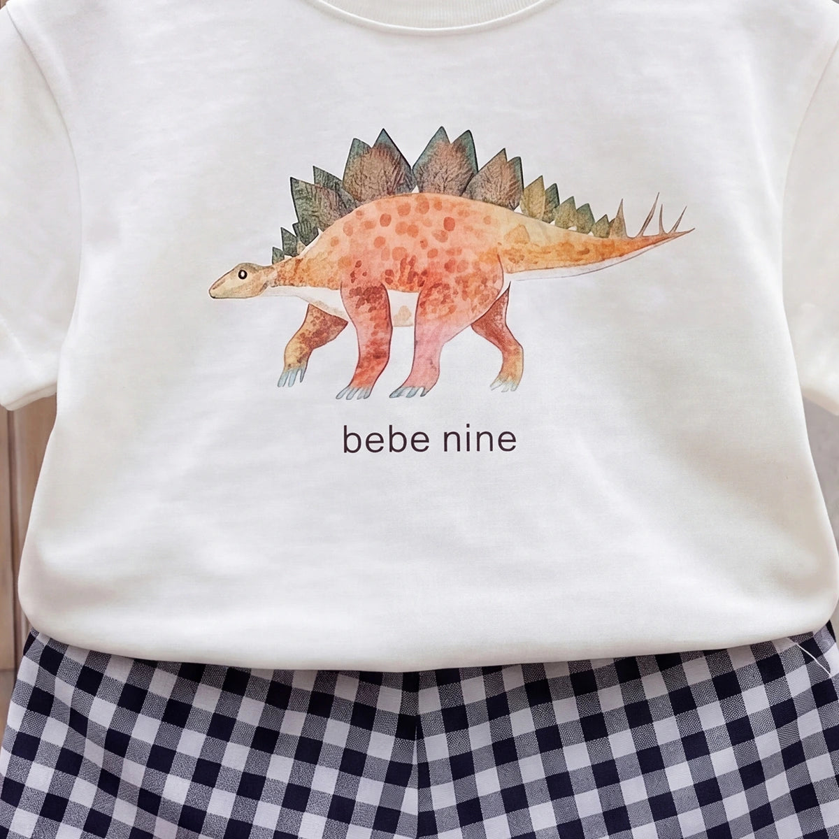 Boys White Dinosaur Print Short Sleeve T-Shirt With Checked Shorts Sets 2 pc. Sets