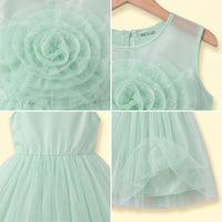 Girls Light Green Floral Applique Fit & Flare Party Dress Party Dresses