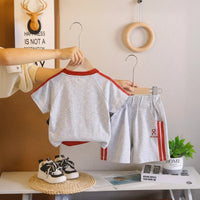 Boys Grey Printed Short Sleeve T-Shirt With Elasticated Shorts Sets Sets