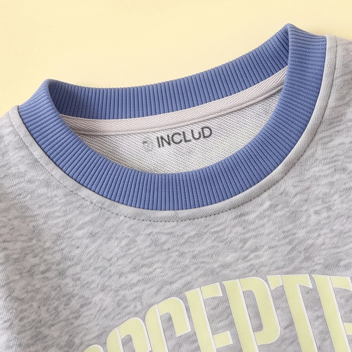 Boys Light Grey Typographic Long Sleeve Sweatshirt Sweatshirts & Hoodies