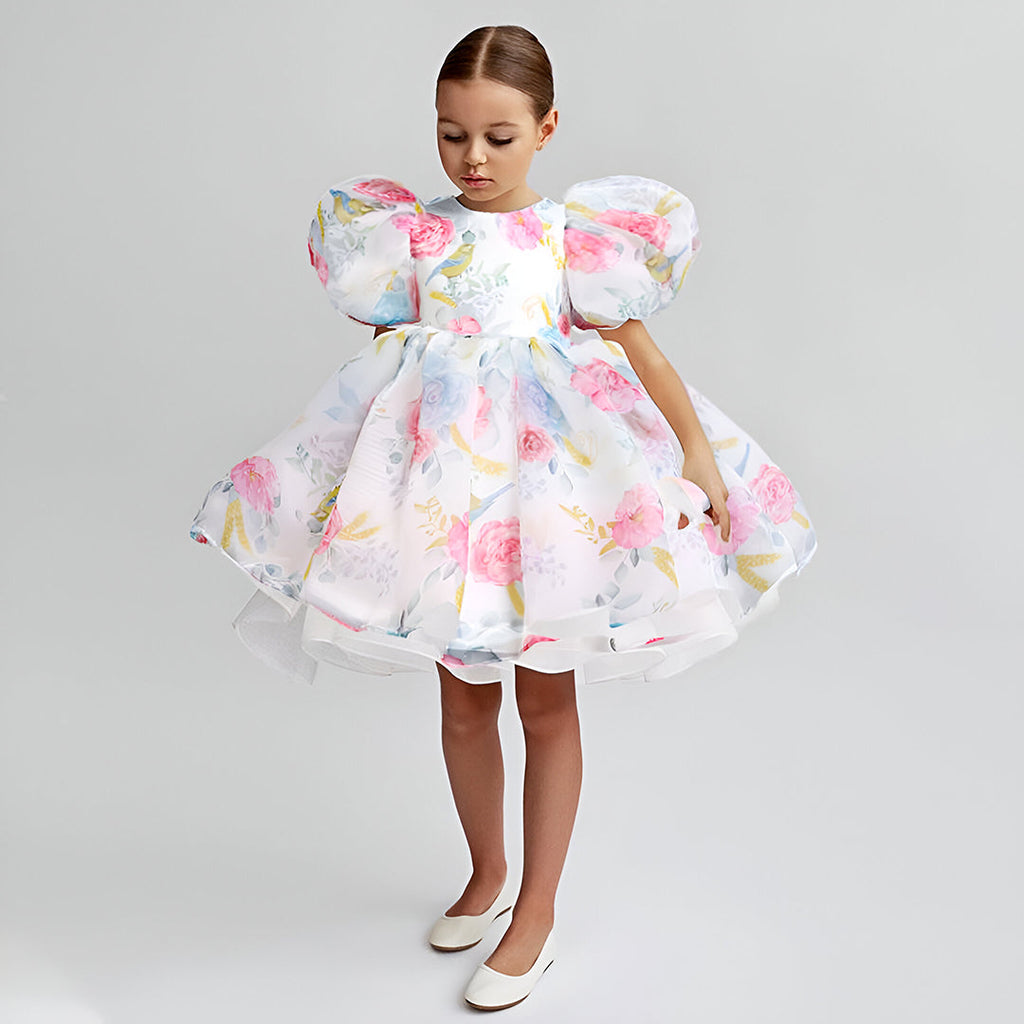 Girls Puff Sleeves Fit & Flare Dress