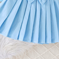 Girls Light Blue Solid Top With Pleated Skirt Winter Set 2 pc. Sets