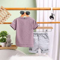 Boys Brown Graphics Short Sleeves T-Shirt With Shorts Set Sets