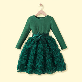 Girls Green Rose Applique Long Sleeve Fit & Flare Dress Casual Dresses Green 2-3 Y