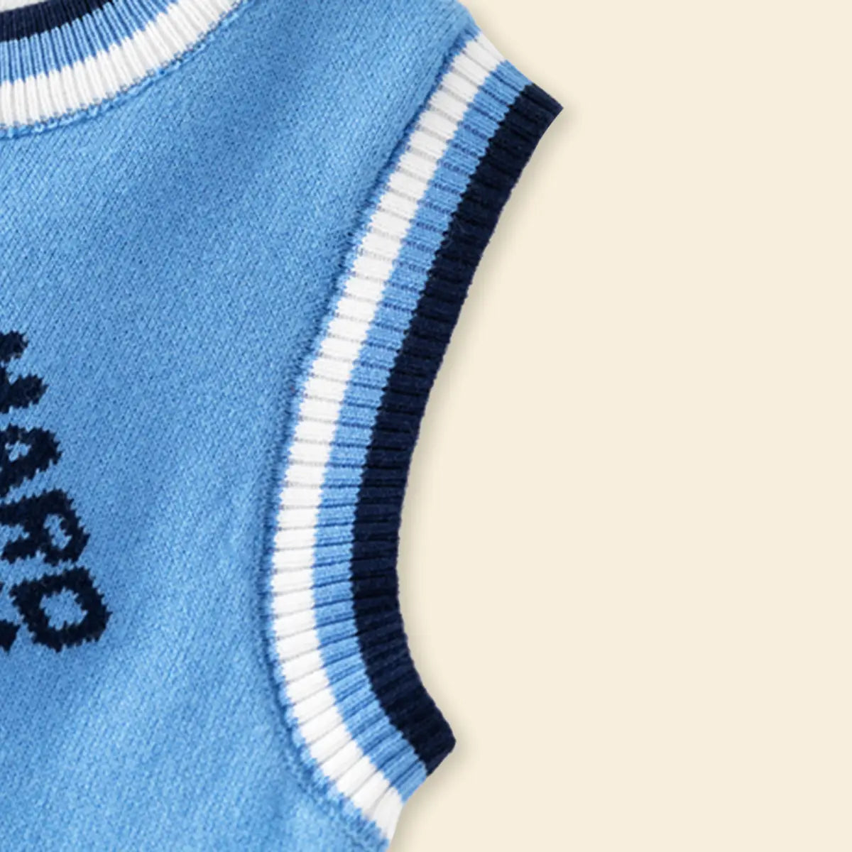 Boys Light Blue Sweater Vest With Self-Design Crane Pattern Sweaters & Cardigans