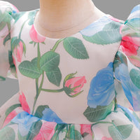 Girls Floral Print Puff Sleeves Party Dress Party Dresses   