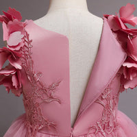 Girls Embroidered Fit & Flare Party Dress Party Dresses   