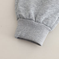 Boys Grey Typographic Embroidered Sweatshirt With Pants Set 2 pc. Sets