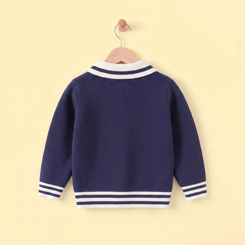Boys Blue Self-Design Polo Sweater Sweaters & Cardigans