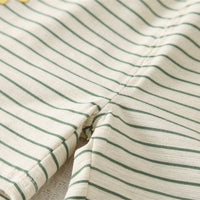 Boys Green Dinosaur Striped Polo T-shirt with Shorts Set Sets