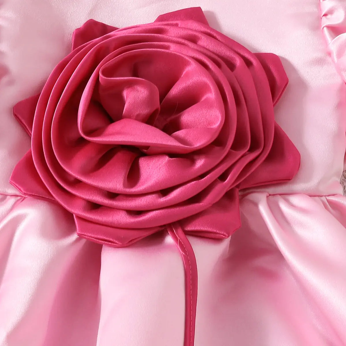 Girls Pink 3D Flower Applique Fit & Flare Party Wear Dress Party Dresses