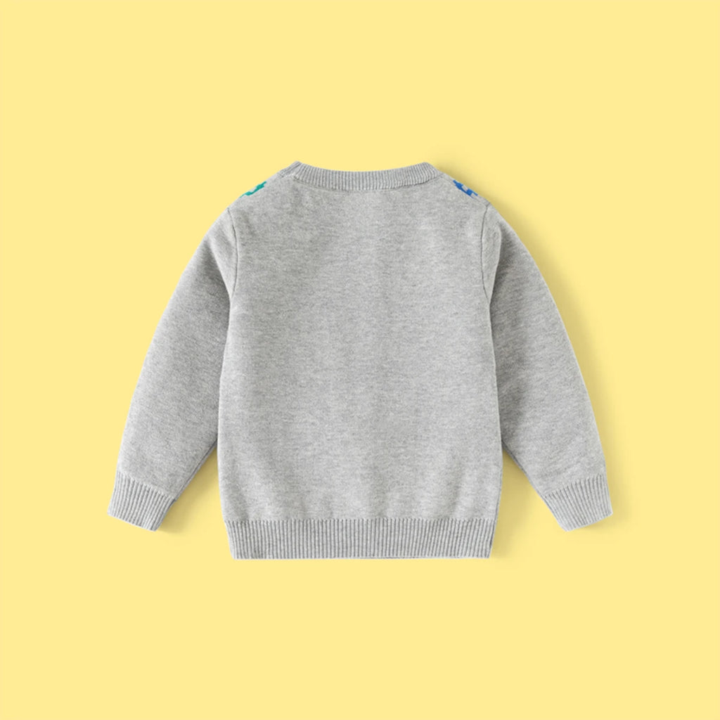 Boys Grey Bear Graphic Long Sleeve Sweater Sweaters & Cardigans