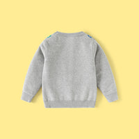 Boys Grey Bear Graphic Long Sleeve Sweater Sweaters & Cardigans