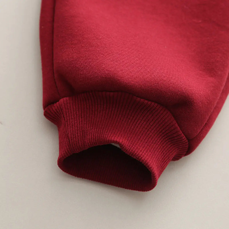 Boys Red Hooded Sweatshirt With Jogger Co-ord Sets Sets