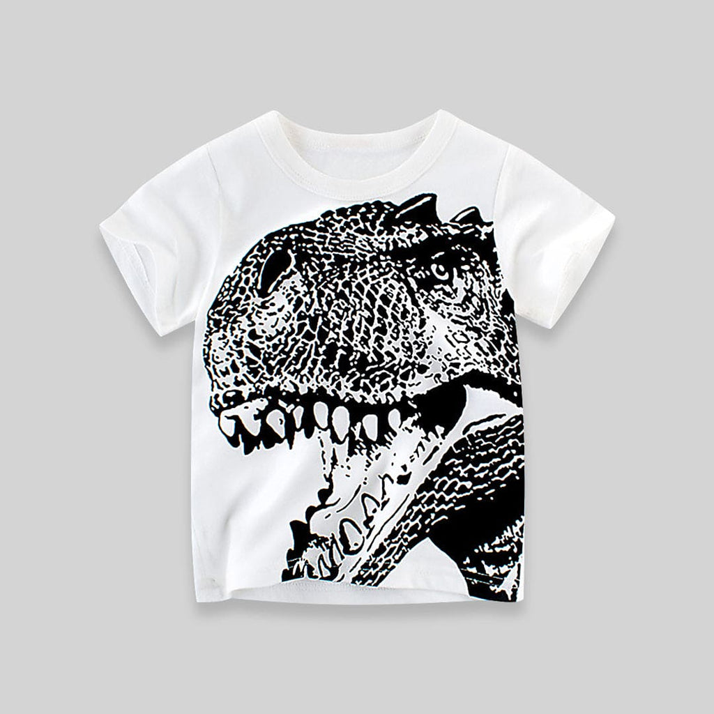 Boys White Dinosaur Print Tshirt Tshirts   