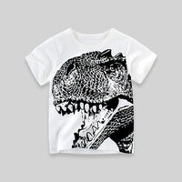 Boys White Dinosaur Print Tshirt Tshirts   