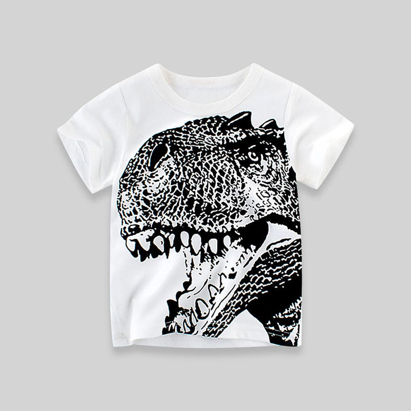 Boys White Dinosaur Print Tshirt Tshirts   
