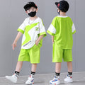 Boys Graphic T-Shirt With Elasticated Shorts Sets Green 3-4 Y 