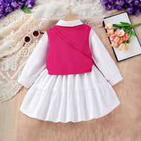 Girls Long Sleeves Drop Waist Dress With Sweater Vest Casual Dresses