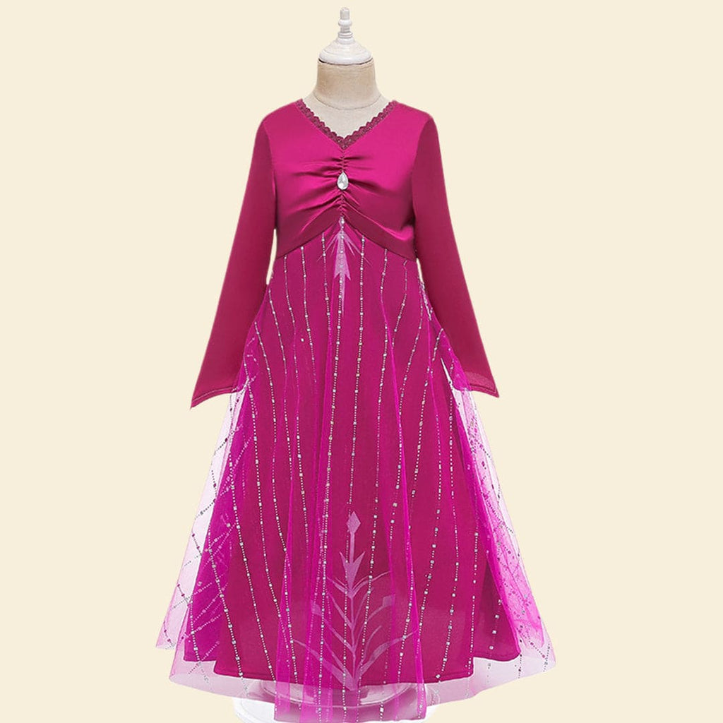 Girls Character Inspired Embroidered Tulle Gown Casual Dresses   
