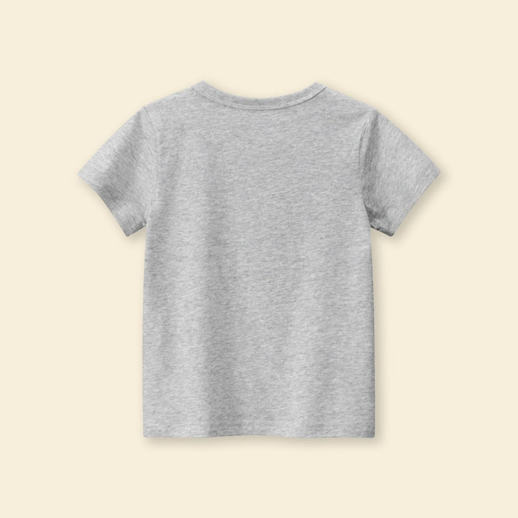 Boys Grey Dinosaur Print Shorts Sleeves T-shirt Tshirts   