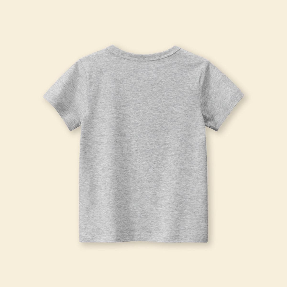 Boys Grey Dinosaur Print Shorts Sleeves T-shirt Tshirts   