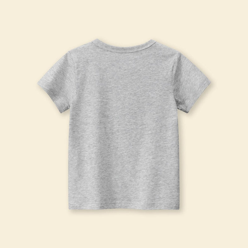 Boys Grey Dinosaur Print Shorts Sleeves T-shirt Tshirts   
