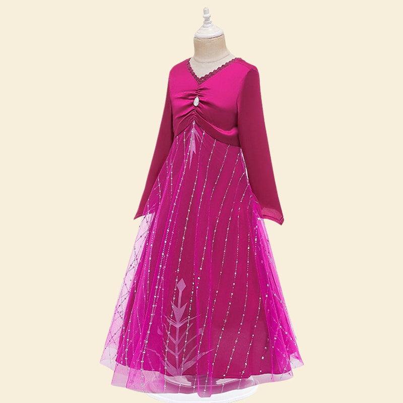 Girls Character Inspired Embroidered Tulle Gown Casual Dresses   