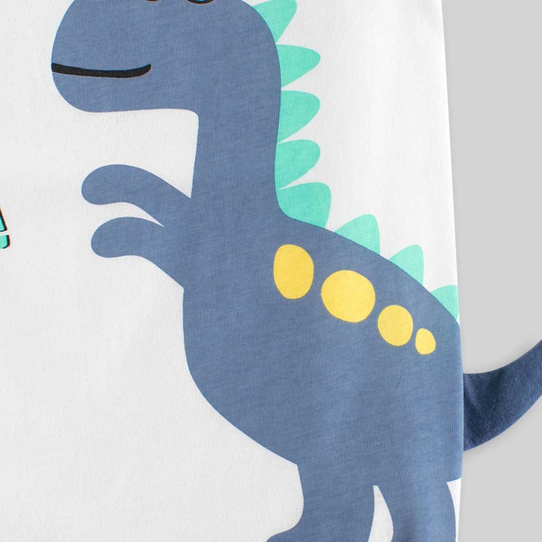 Boys Dinosaur Graphic Raglan Sleeves T-Shirt Tshirts   
