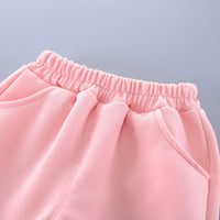 Girls Pink Peter Pan Collar Bow Embroidery Sweatshirt With Pants Set Sets   