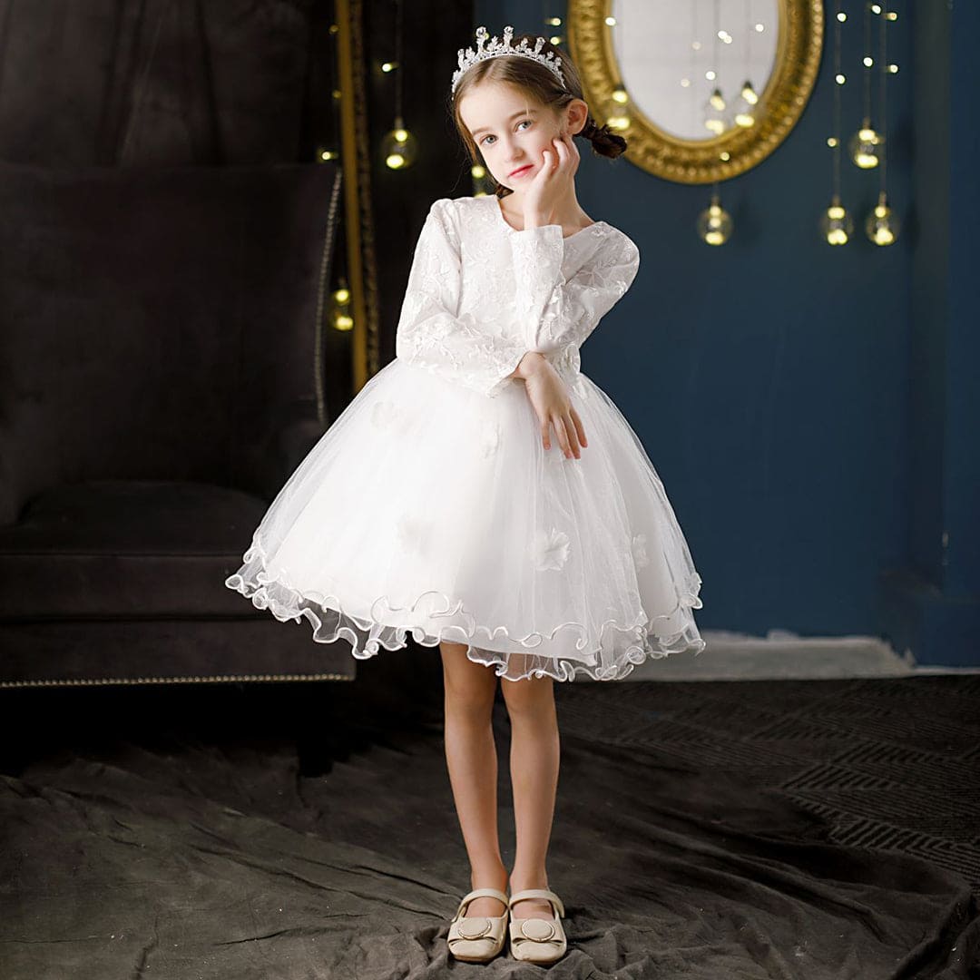 Girls Embroidered Full Sleeves Tulle Party Dress Casual Dresses White 4-5 Y 