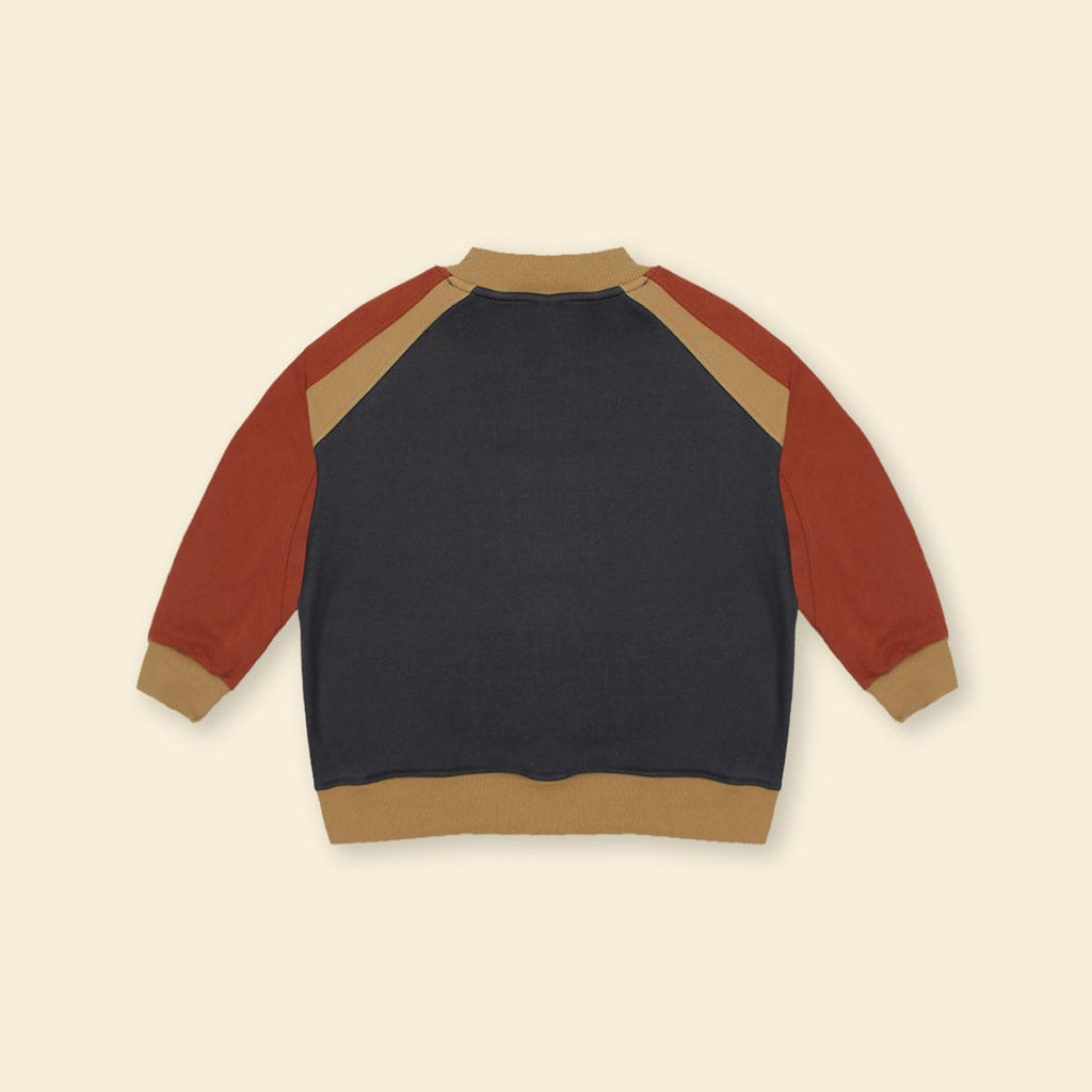 Boys Gray Long Sleeve Embroidery Applique Fleece Sweatshirt Sweatshirts & Hoodies   