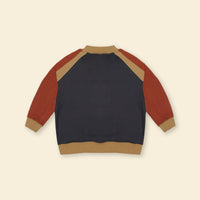 Boys Gray Long Sleeve Embroidery Applique Fleece Sweatshirt Sweatshirts & Hoodies   