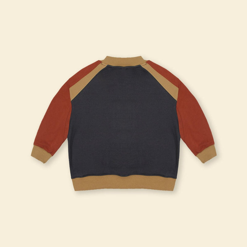 Boys Gray Long Sleeve Embroidery Applique Fleece Sweatshirt Sweatshirts & Hoodies   