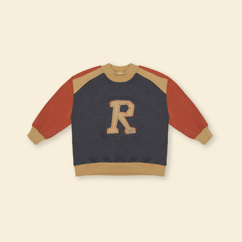Boys Gray Long Sleeve Embroidery Applique Fleece Sweatshirt Sweatshirts & Hoodies   