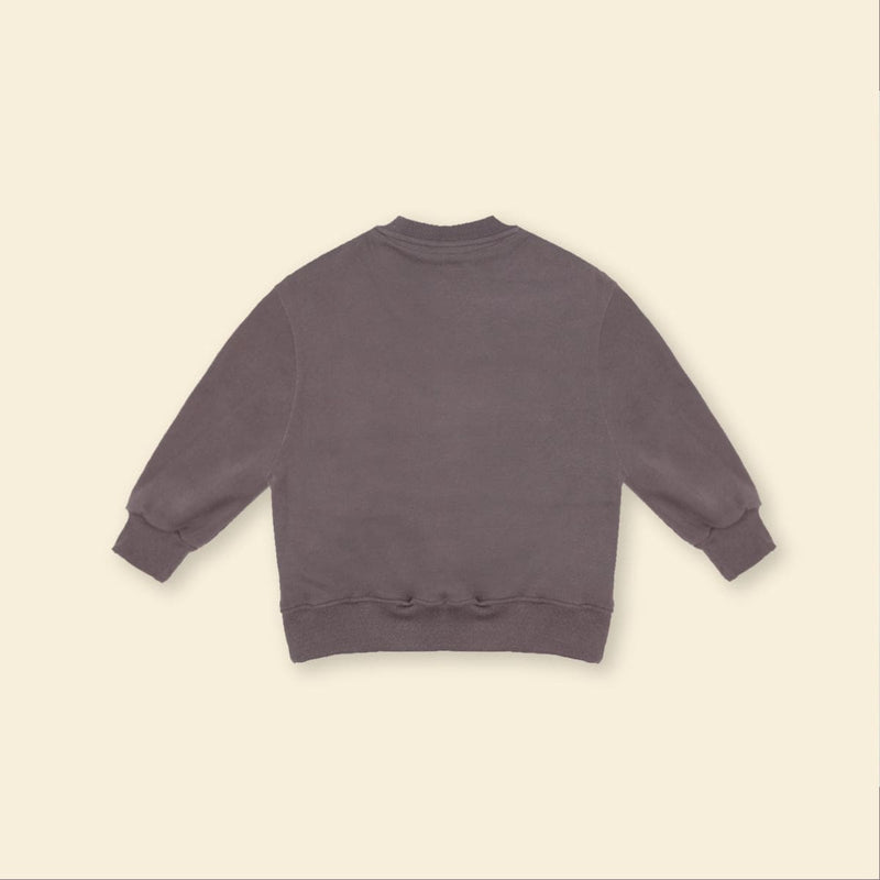 Boys Dark Grey HD Print Long Sleeve Fleece Sweatshirt With Flap Pocket Sweatshirts & Hoodies   