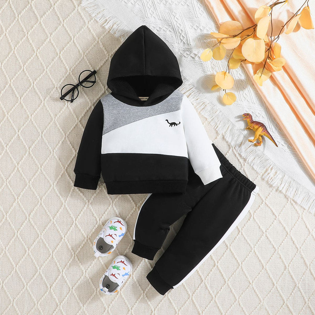 Boys Colorblocked Black Hooded Sweatshirt with Trouser Set Sets Black 6-9 M 