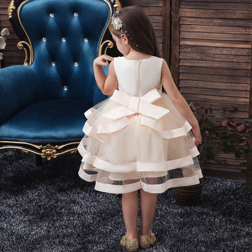 Girls Beige Flower Applique Tulle Party Dress Party Dresses