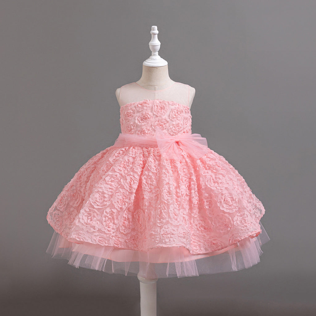 Girls Pink Sleeveless Embroidered Party Wear Dress Party Dresses Pink 2-3 Y