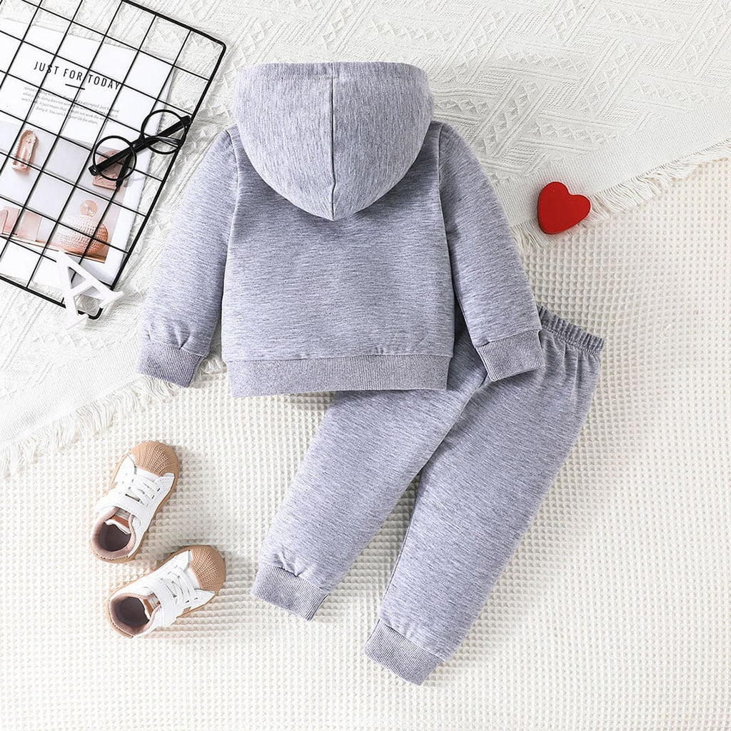 Boys Grey Printed Hooded Sweatshirt with Trouser Set Sets Grey 3-6 M 