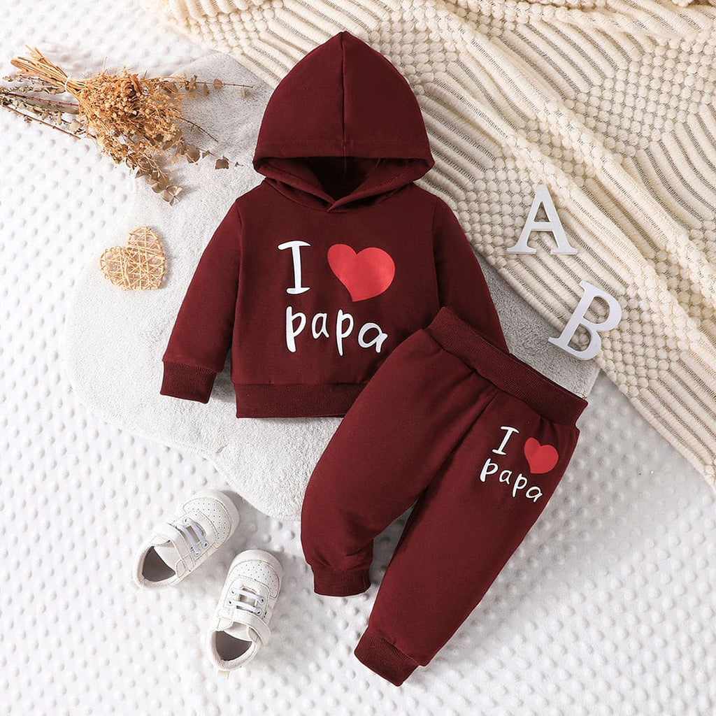 Boys Maroon Printed Hooded Sweatshirt with Trouser Set Sets Maroon 3-6 M 