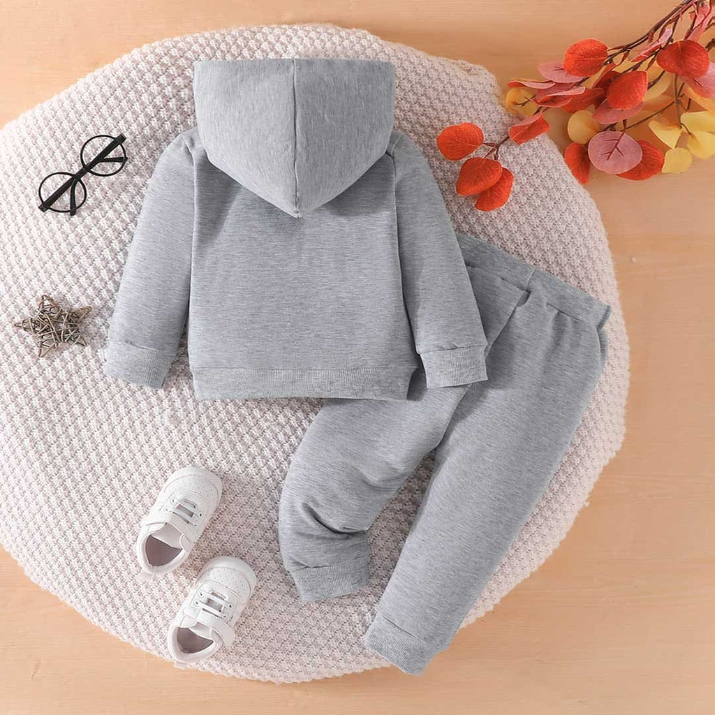 Boys Grey Printed Full Sleeves Sweatshirt with Pants Set Sets Gray 3-6 M 