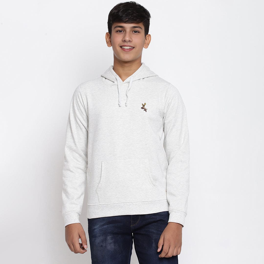 Boys Grey Full Sleeves Hooded Sweatshirt Sweatshirts & Hoodies